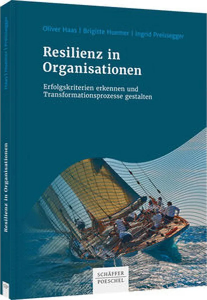 La résilience dans les organisations analyse systémique et cas réels