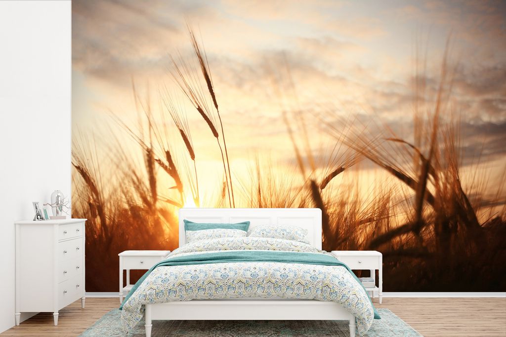 MuchoWow Fototapete für Wohnzimmer oder Schlafzimmer Wandtapete Vinyl Motivtapete Schilf - Gras - Sonnenuntergang - Natur - Horizont - 390x260 c...