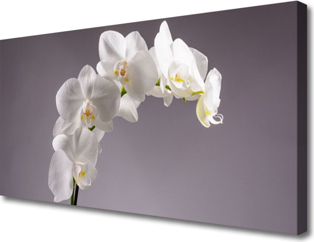 Tulup Leinwand-Bilder 100x50 Wandbild Canvas Kunstdruck Blumen Pflanzen
