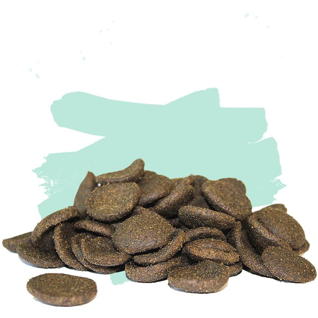 Hanzam | Koisnack, Koitaler, Koikeks