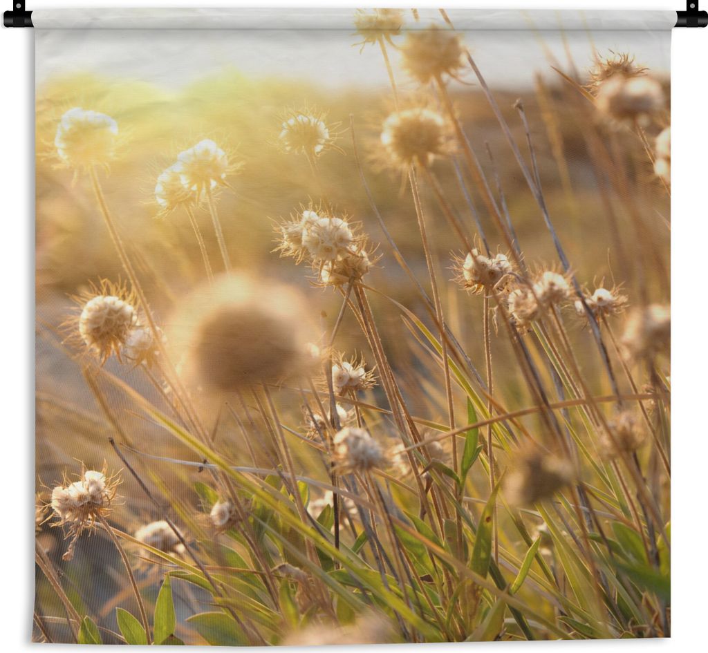 MuchoWow Wandteppich Wandbehang Pflanzen - Natur - Blumen - Sonne - Horizont 60x60 cm Tapisserie Dekoration Wandtuch - Dekorationen - Wand Decke