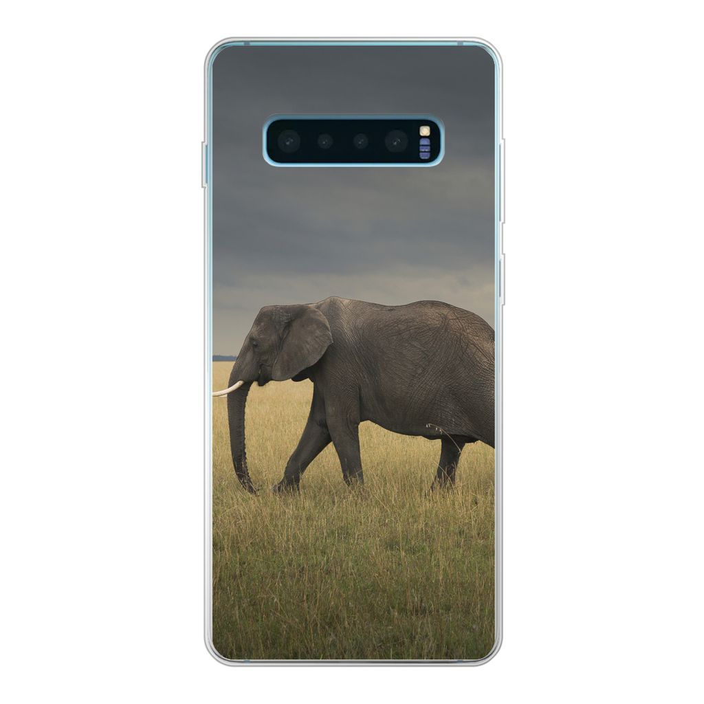 MuchoWow Handyhülle Schutzhülle Hülle für Samsung Galaxy S10 Plus Elefant - Savanne - Tiere - Natur Silikon Softcase Handy Hülle - Schutzhülle