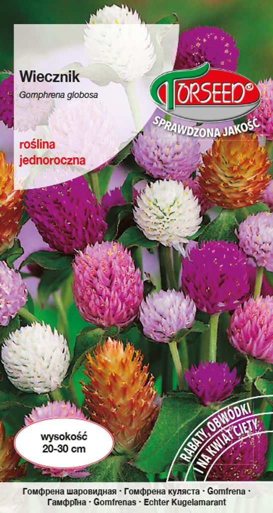 Immergrün-Samenmischung - Torseed