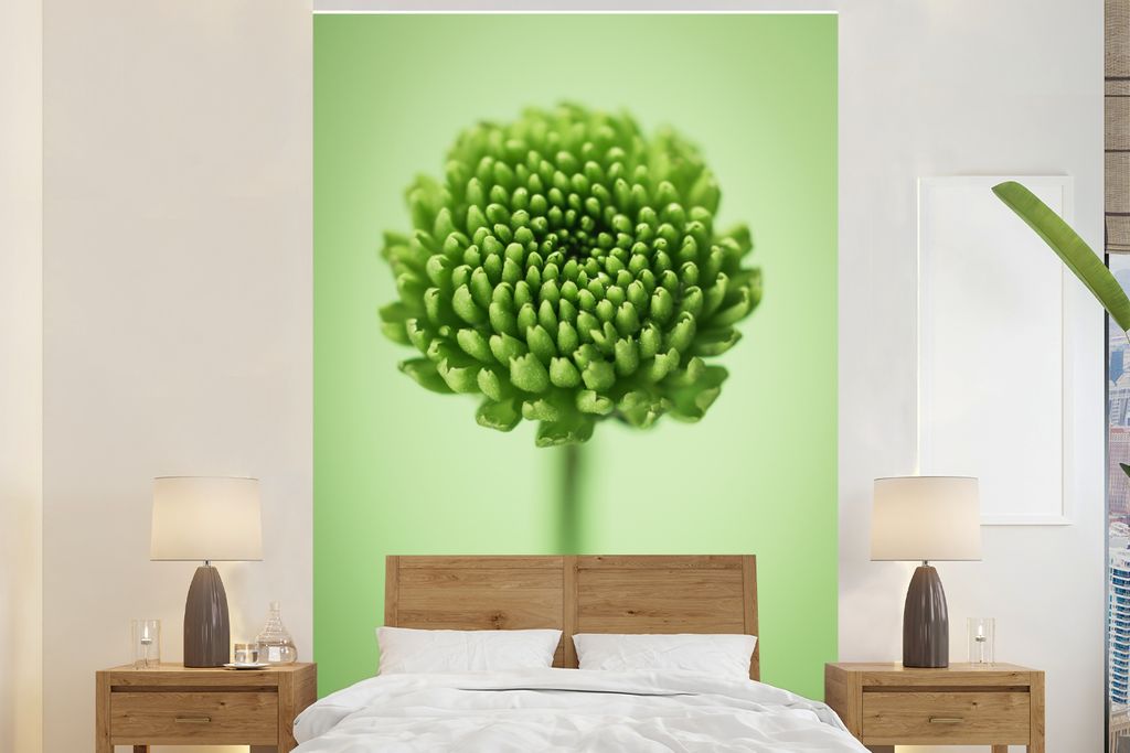 MuchoWow Fototapete für Wohnzimmer oder Schlafzimmer Wandtapete Vinyl Motivtapete Grüne botanische Chrysanthemenblüte mit unscharfem Hintergru...