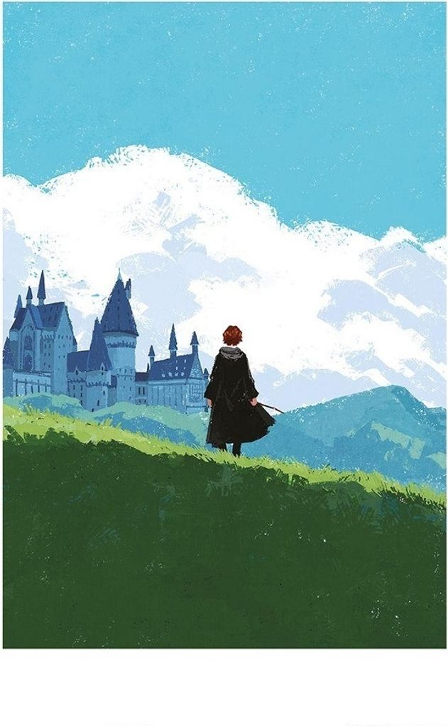 Harry Potter - bedruckt PM6177 (40 cm x 30 cm) (Blau/Grün/Schwarz)
