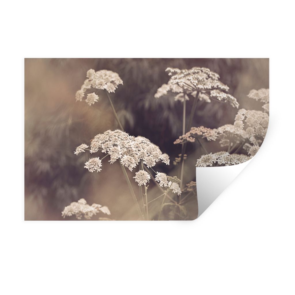 MuchoWow Wandtattoo Wandsticker Wandaufkleber Pflanze - Weiß - Natur - Blumen 90x60 cm Selbstklebend und Repositionierbar - Aufkleber