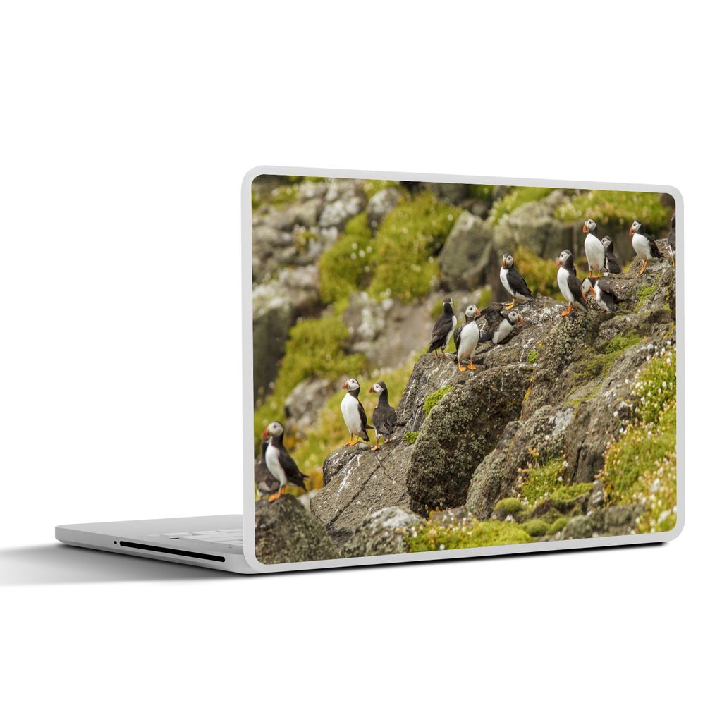 MuchoWow Laptop Aufkleber Sticker Cover Papageientaucher an der schottischen Küste 32.5x23.5 cm - Sticker für Laptop - Selbstklebend