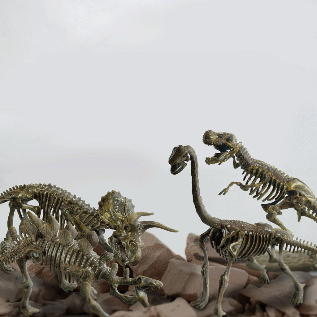 Ausgrabungsset für Dinosaurierfossilien, 4-in-1-STEM-Spielzeug, ab 6 Jahren