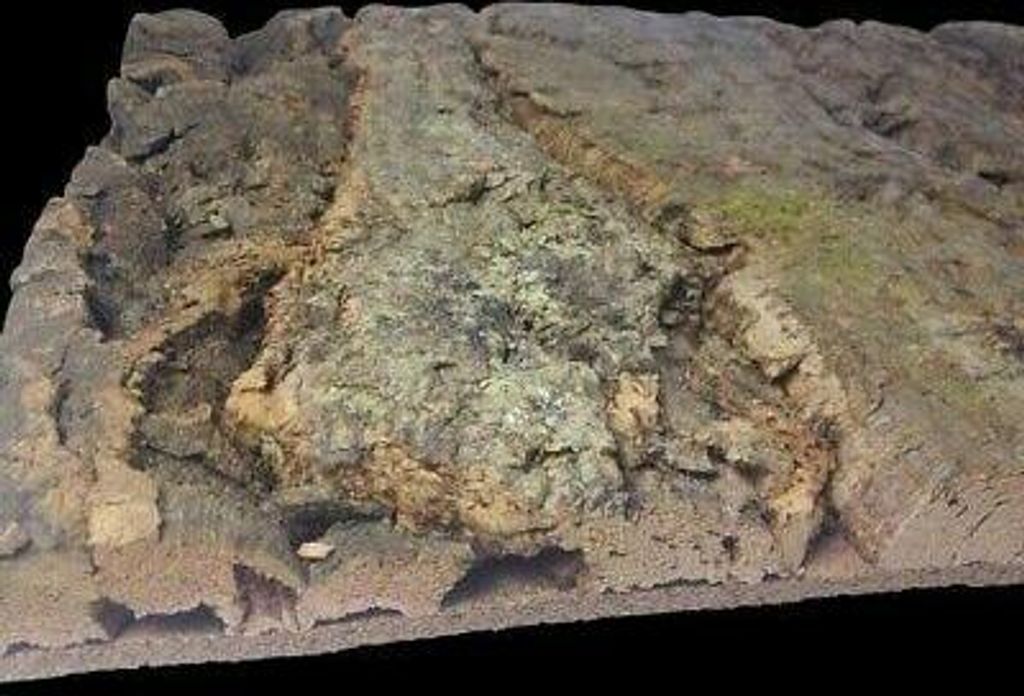 EKB-Kork Rückwand Kamari Zierkork für Terrarien 30x30cm Produktbild 