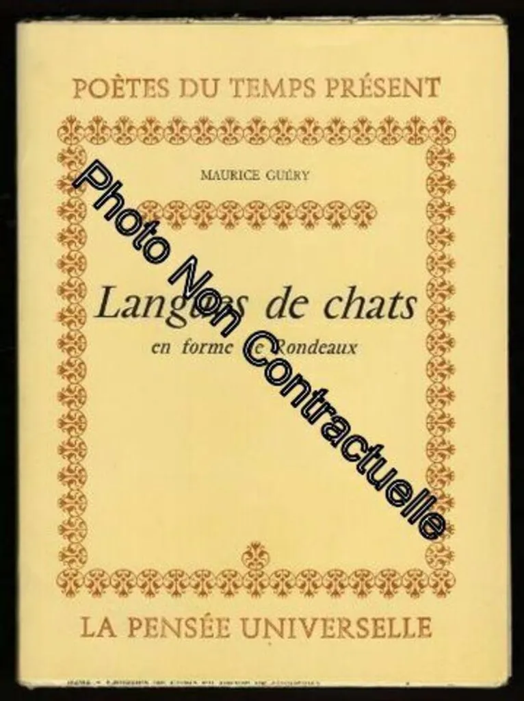 Langues de chats légères et digestes pour un goûter sain sans excès
