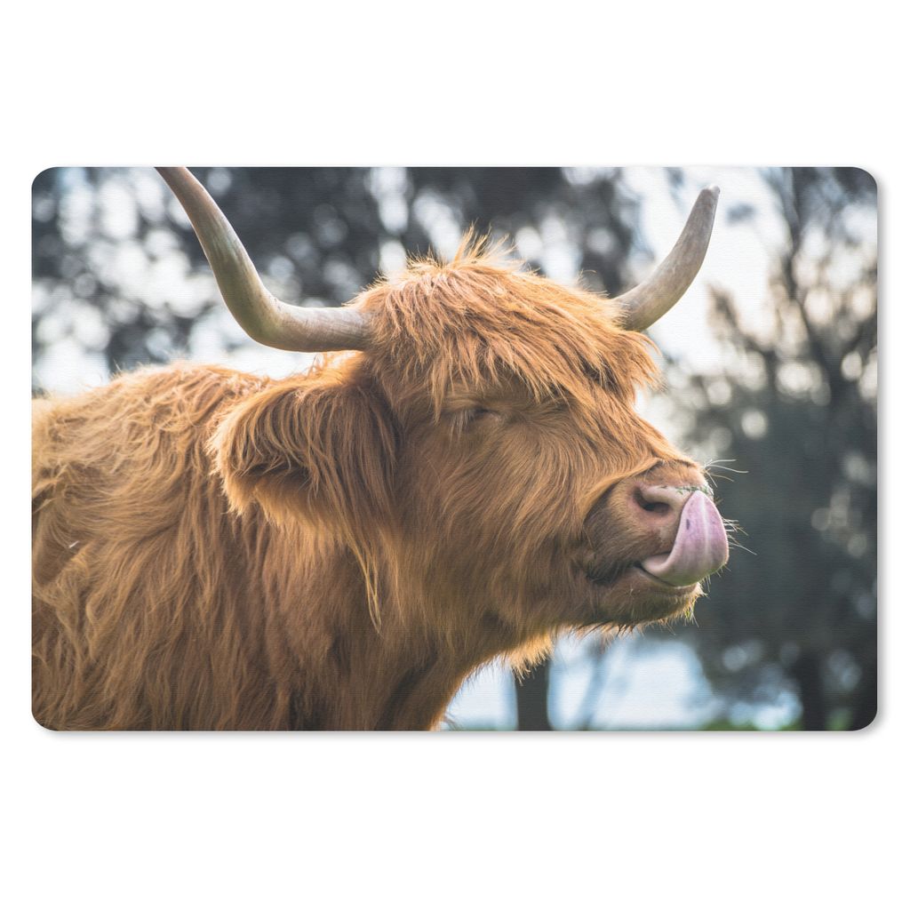 MuchoWow Schreibtischunterlage Schottischer Hochländer - Kuh - Frühling - Tiere 60x40 cm - XXL Mauspad - Großes Mauspad