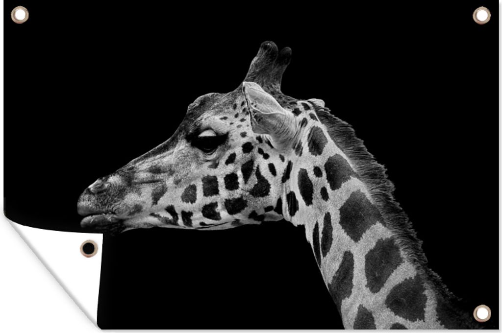 MuchoWow 60x40 cm Outdoor-Poster Gartendeko Sichtschutz Garten Poster für den Garten Tiere - Giraffe - Schwarz - Weiß