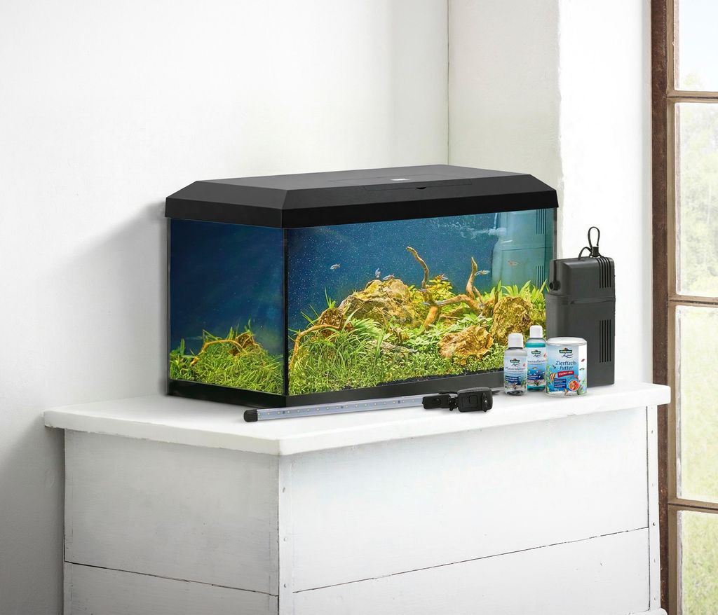 Dehner Aqua Aquarium Starterset 60, ca. 61 x 31 x 37 cm