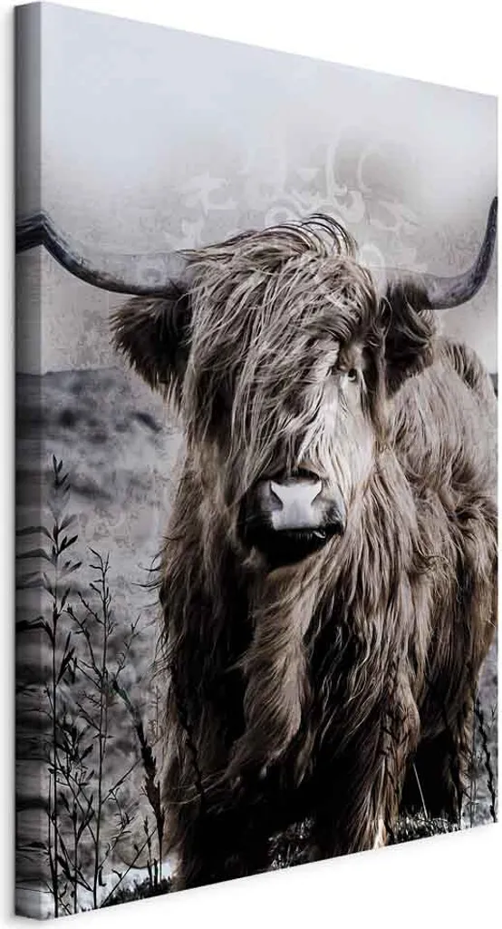 Quadro Vintage Mucca Highlands Seppia 40x60 cm | Emozioni su Tela