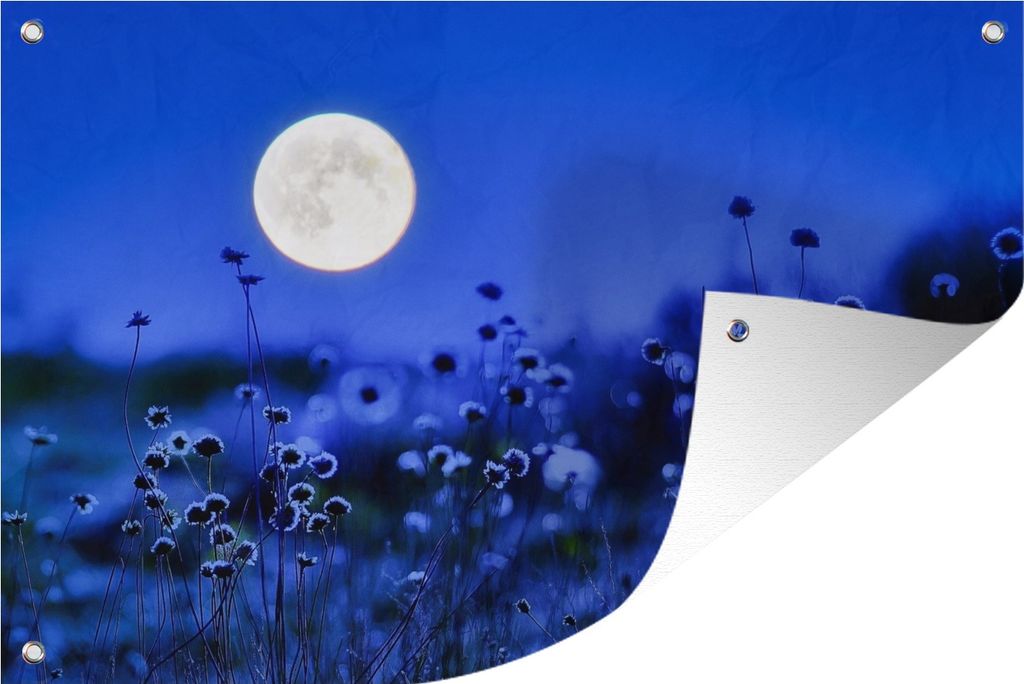 MuchoWow 60x40 cm Outdoor-Poster Gartendeko Sichtschutz Garten Poster für den Garten Blumen - Mond - Lila