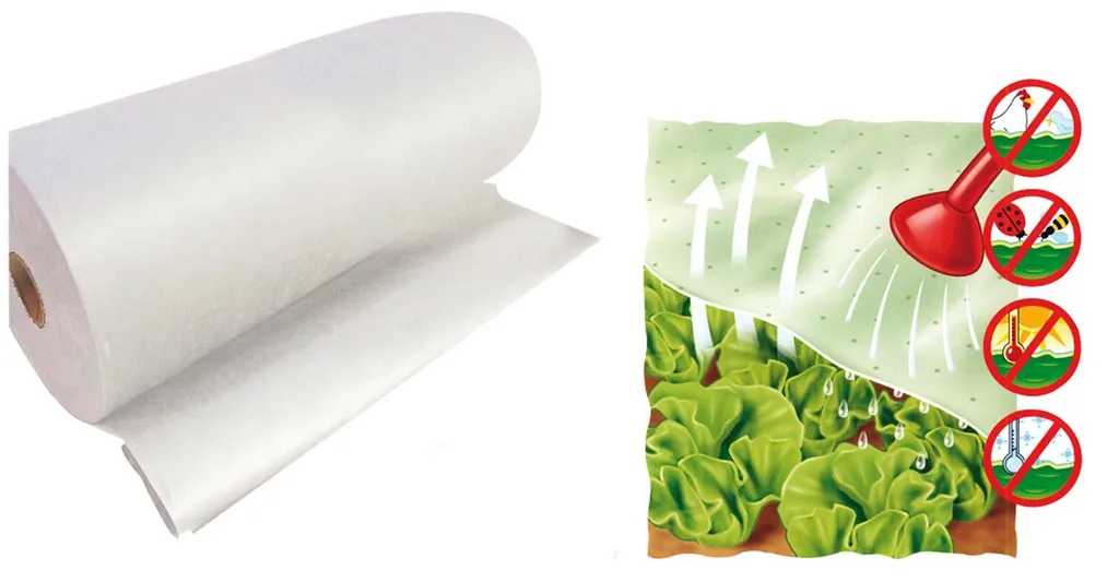 Évitez le gel des plantes avec la bâche TNT Brixo 250m - Solution hiver