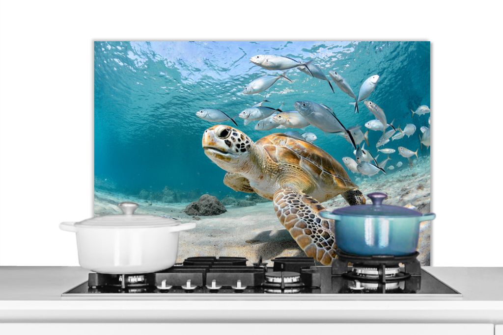 KitchenYeah Spritzschutz Küche - Küchenrückwand - Wandschutz für Herd und Spüle - Schildkröte - Fisch - Meer 90x60 - Alu-Dibond (Alternati...