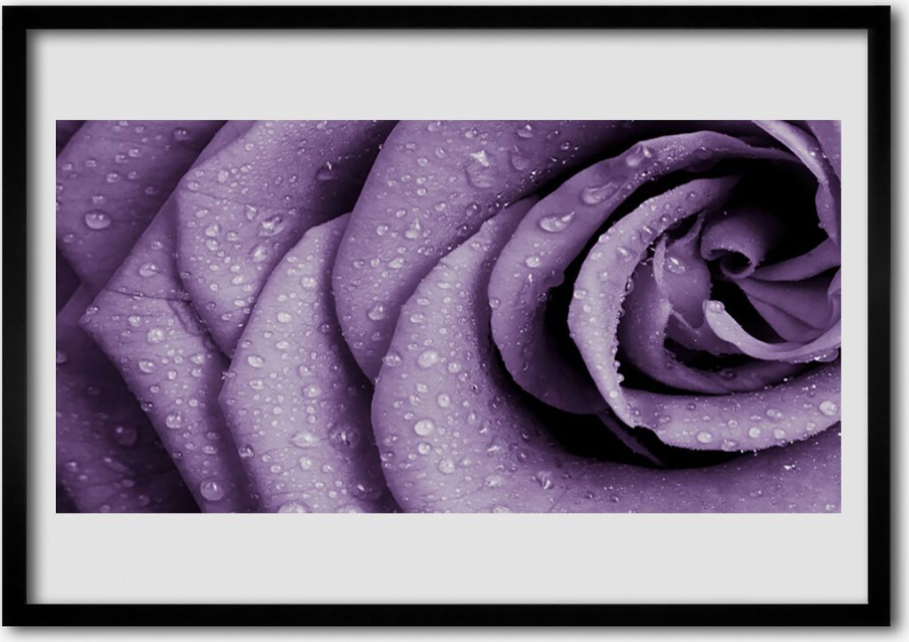 Bild 100x70 MDF-Rahmen Wandkunst Rose-Blumen-Anlage