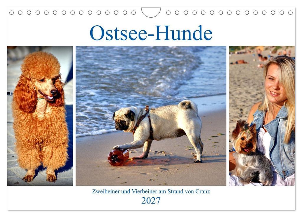 Ostsee-Hunde - Zweibeiner und Vierbeiner am Strand von Cranz (Wandkalender 2027 DIN A4 quer), CALVENDO Monatskalender