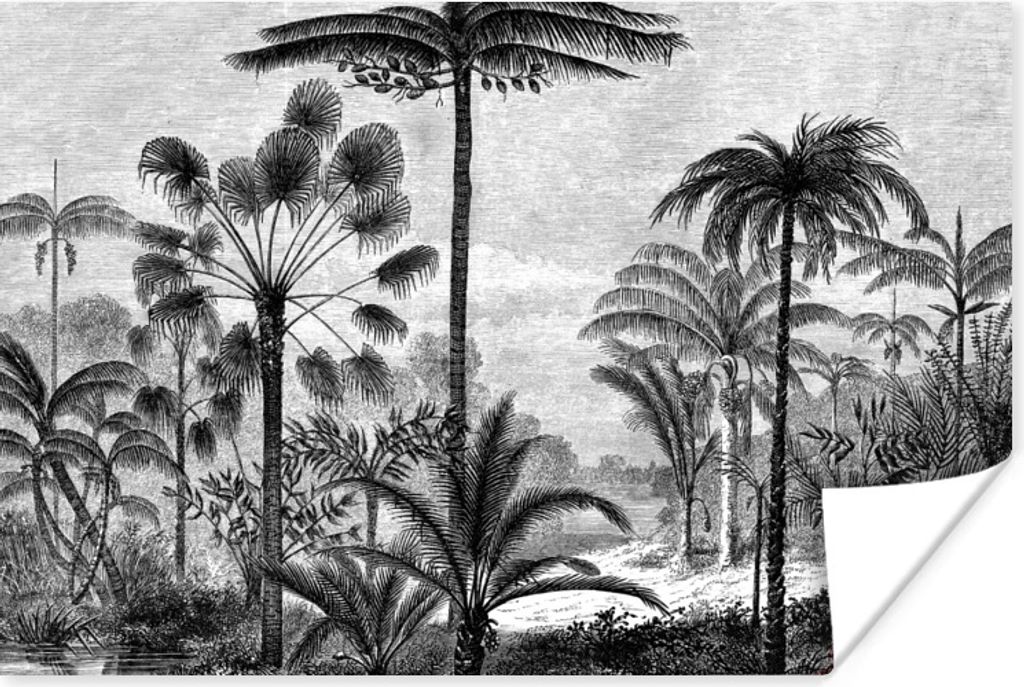 MuchoWow Poster Design - Bäume - Natur - Pflanzen - Botanisch 120x80 cm - Bilder
