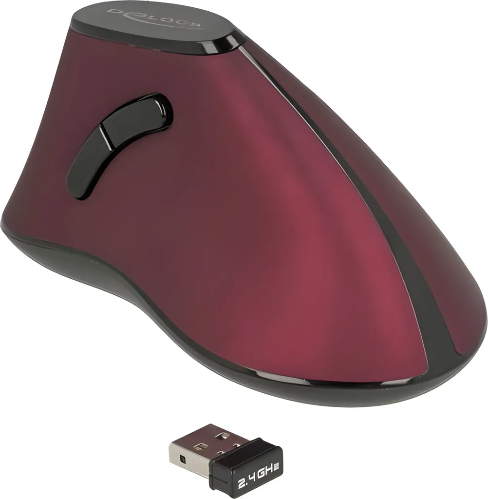 Souris ergonomique verticale Delock pour ordinateur portable et PC
