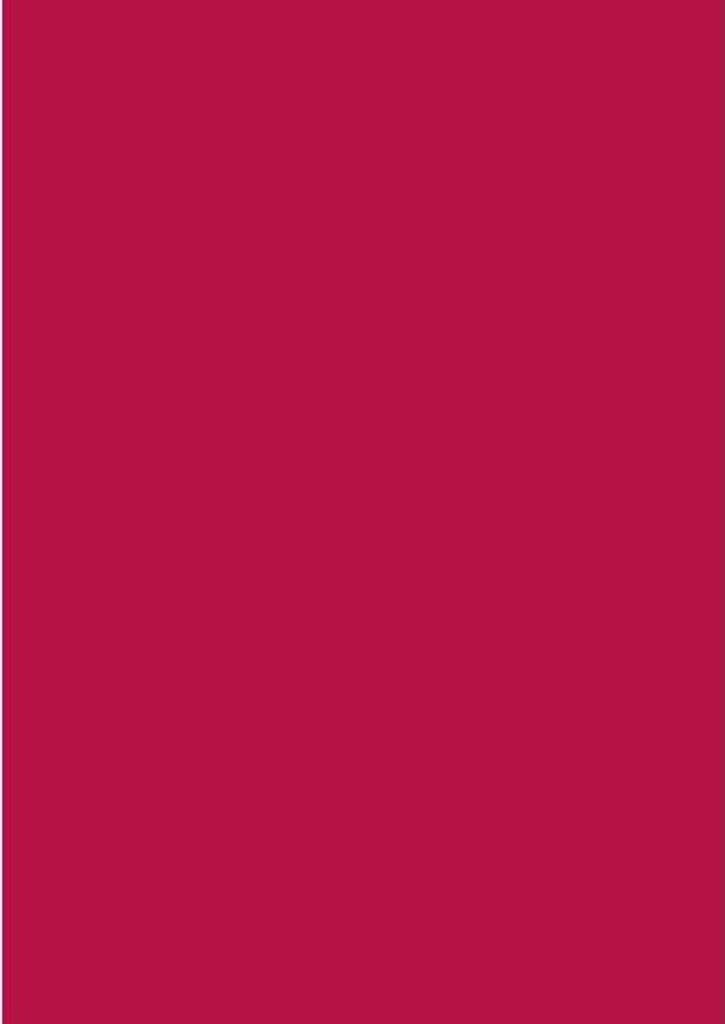 Universalpapier Druckerpapier mittelrot Inhalt 35 Blatt 120g