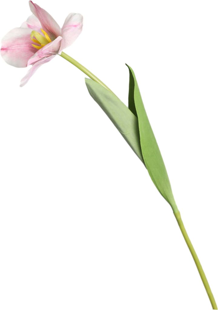 Künstliche Blume, realistische Simulation Tulpe Blume, Kunstseide Blume Fotografie Requisiten für Zuhause Hochzeit Dekoration