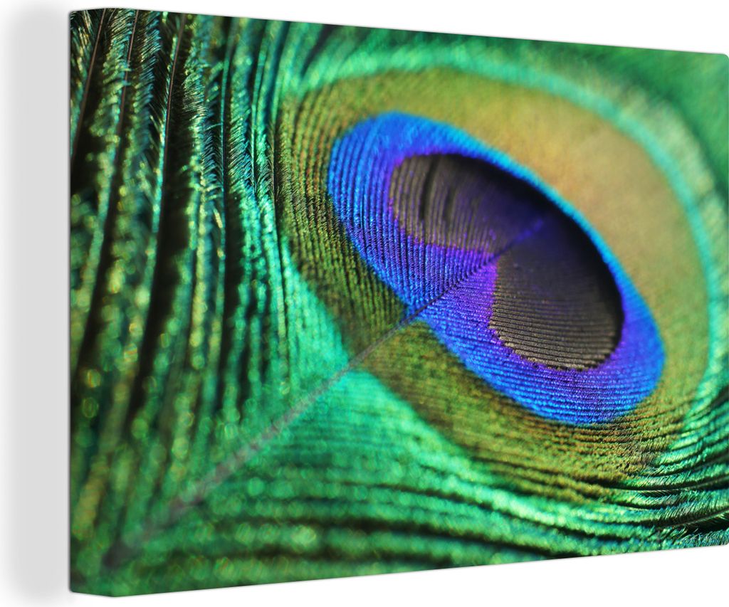 OneMillionCanvasses - Leinwandbilder - 140x90 cm, Pfauenfeder blau grün, Wandbilder Kunstdruck Wanddekoration - Foto auf Leinwand - Gemälde auf...