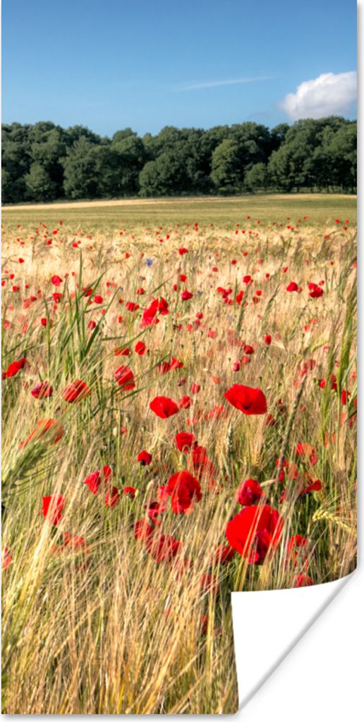 MuchoWow Poster Wilde Mohnblumen auf einem großen Feld 75x150 cm - Dekoration für die Wände