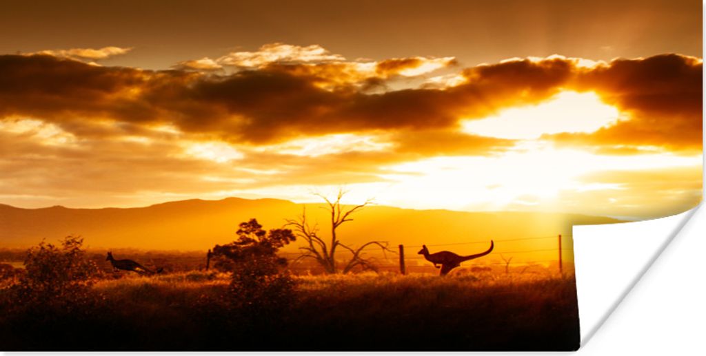 MuchoWow Poster Känguru - Sonne - Scherenschnitt 120x60 cm - Bild
