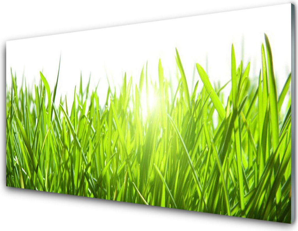 Acrylglasbilder 100x50 Wandbild Druck Gras Natur