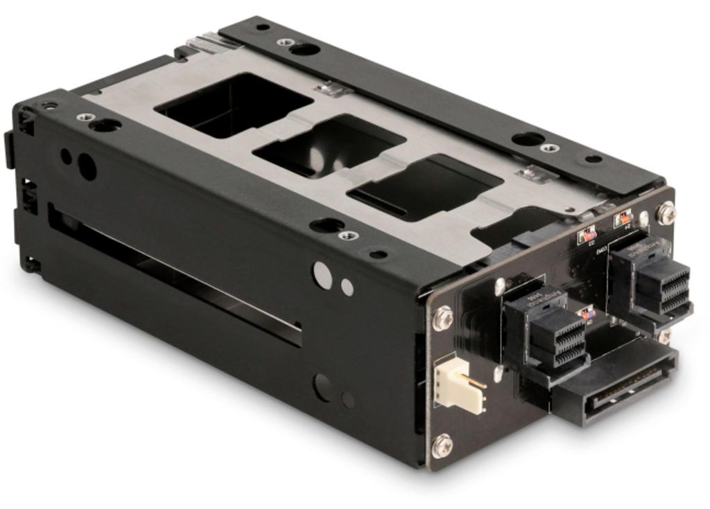 DeLOCK Slim Bay Wechselrahmen für 2 x 2.5′′ U.2 NVMe SSD