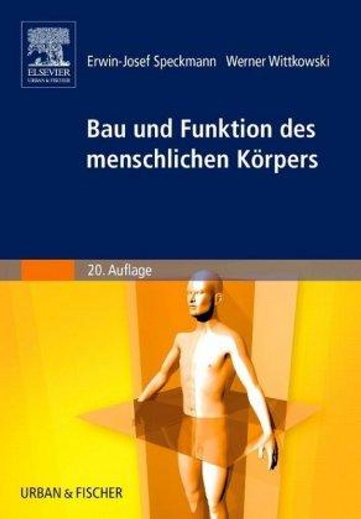 Bau und Funktionen des menschlichen Körpers