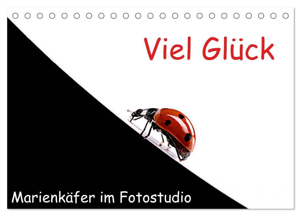 Viel Glück - Marienkäfer im Fotostudio (Tischkalender 2027 DIN A5 quer), CALVENDO Monatskalender