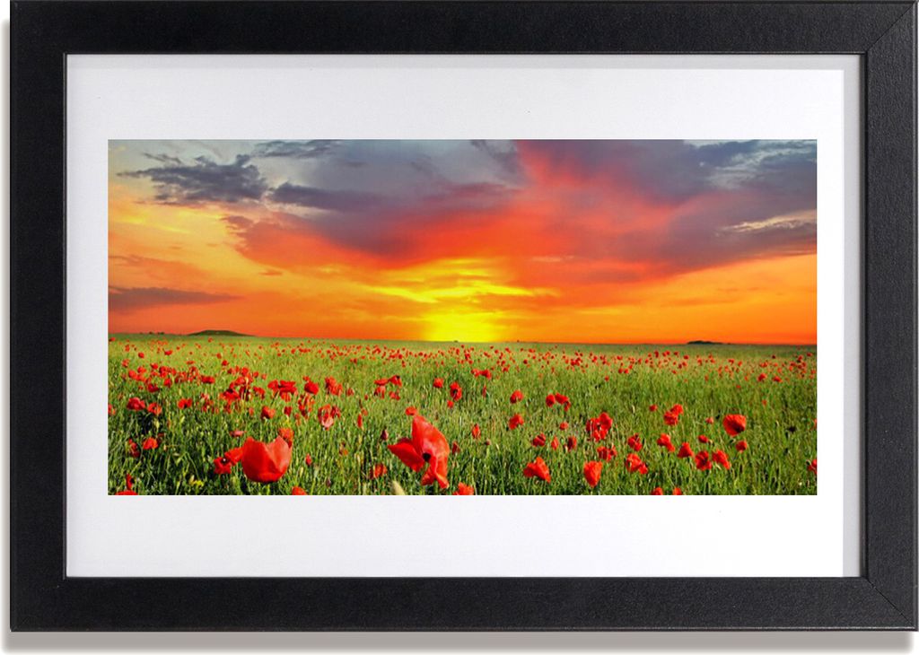 Bild 30x20 MDF-Rahmen Wandkunst Mohn Natur Pflanze Sonne