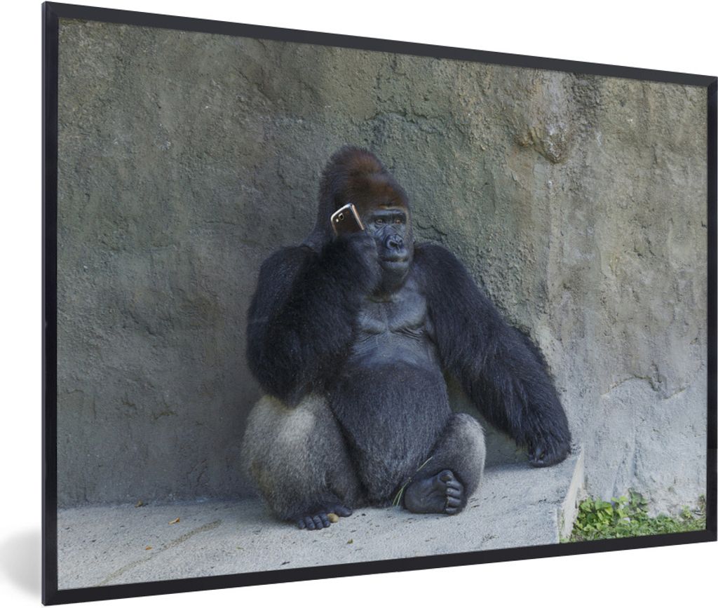 MuchoWow Gerahmtes Poster Ein riesiger Gorilla lehnt an einer Steinmauer 90x60 cm - Poster mit Schwarzem Bilderrahmen Wandposter Rahmen Foto Bild...