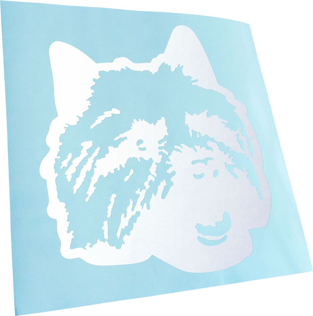 Kiwistar - Autoaufkleber - Norwich terrier Hund - Gold - 60x55cm - Aufkleber für Auto, Laptop, Fahrrad, LKW, Motorrad mehrfarbig JDM Decal Racing