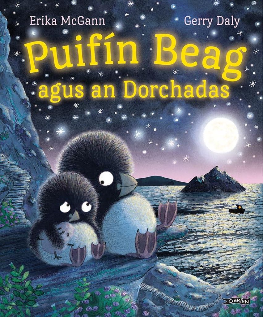 Puifín Beag Agus an Dorchadas (Puifín Beag, 3)