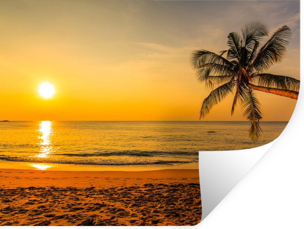 MuchoWow Wandtattoo Wandsticker Wandaufkleber Palme - Strand - Sonnenuntergang - Meer 40x30 cm Selbstklebend und Repositionierbar - Faltenfrei