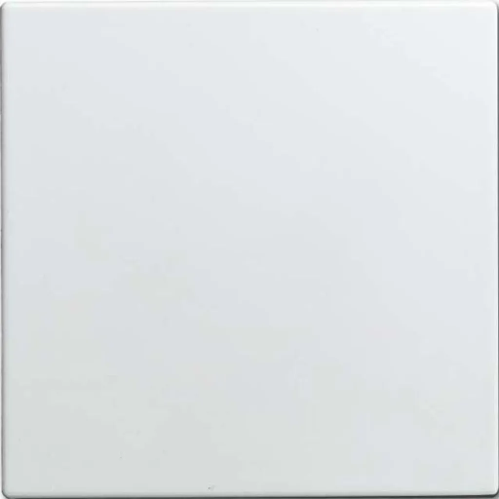 Busch-Jaeger 1576 C-914 Disque central aveugle blanc alpin 2CKA001582A0401