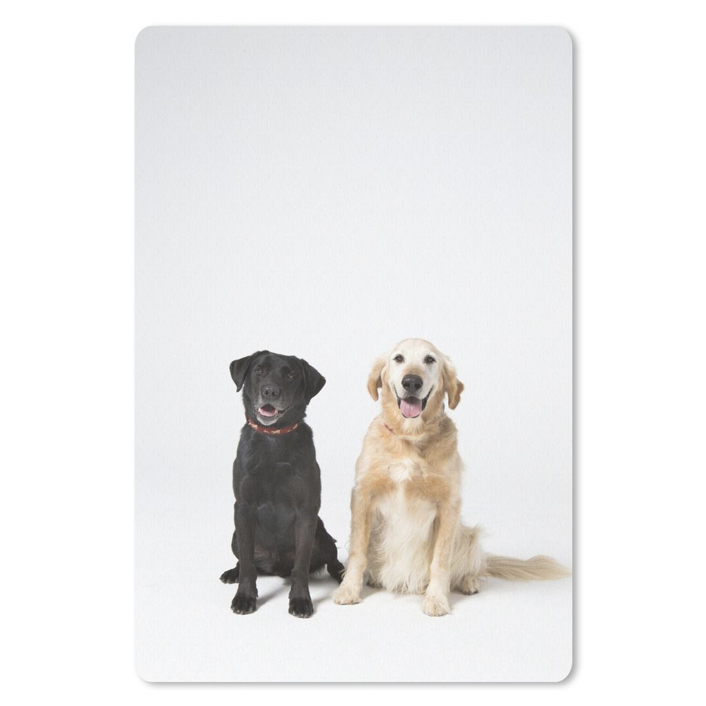 MuchoWow Mauspad Mousepad Zwei Labrador Retriever zusammen im Studio 40x60 cm - Mousepads - Maus Mat - Pad - Mausunterlage - Schreibtisch Accesoire
