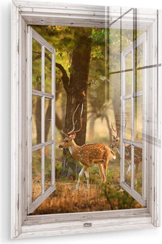 MuchoWow Glasbilder - Bilder auf Wandbild - Foto auf Glas Hirsche - Wald - Herbst - Waldtiere - Natur - Hirsche - Durchschauen 30x40 cm Wanddekorat...