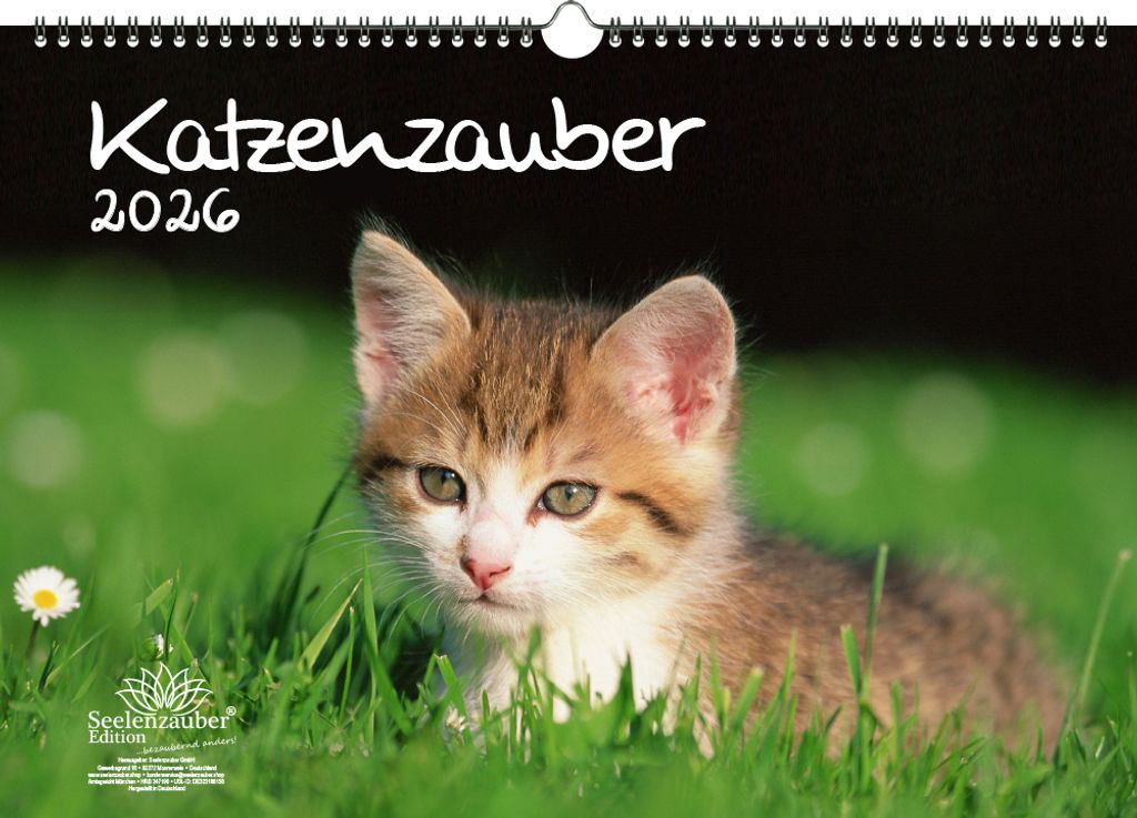 Katzenzauber DIN A3 Kalender für 2026 Katzen und Katzenbabys - Seelenzauber