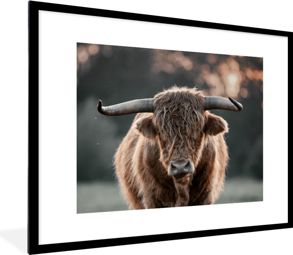 MuchoWow Gerahmtes Poster Schottischer Highlander - Kuh - Natur 80x60 cm - Poster mit Schwarzem Bilderrahmen Wandposter Rahmen Foto Bilder - Schl...