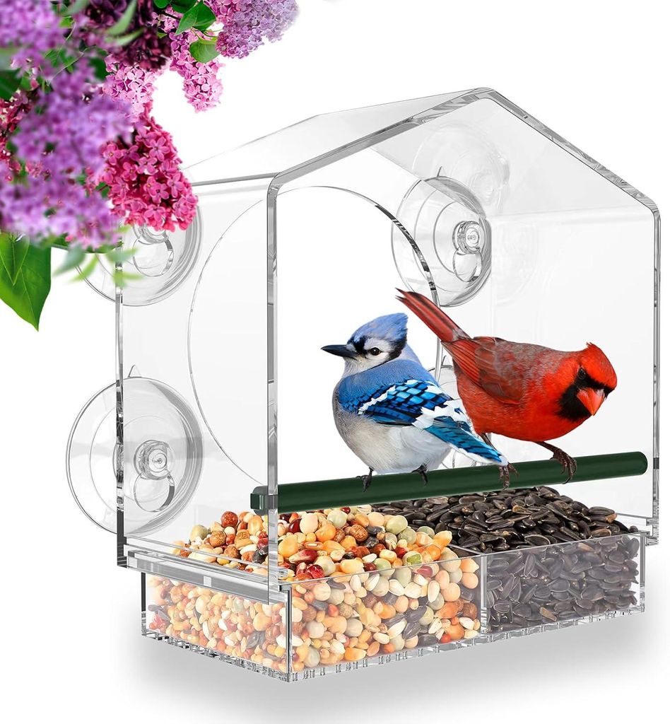 Großes, transparentes Fenster-Vogelhäuschen (21 x 20 x 10 cm) – Vogelhäuschen für Wild- und Gartenvögel, einzigartiges Geschenk