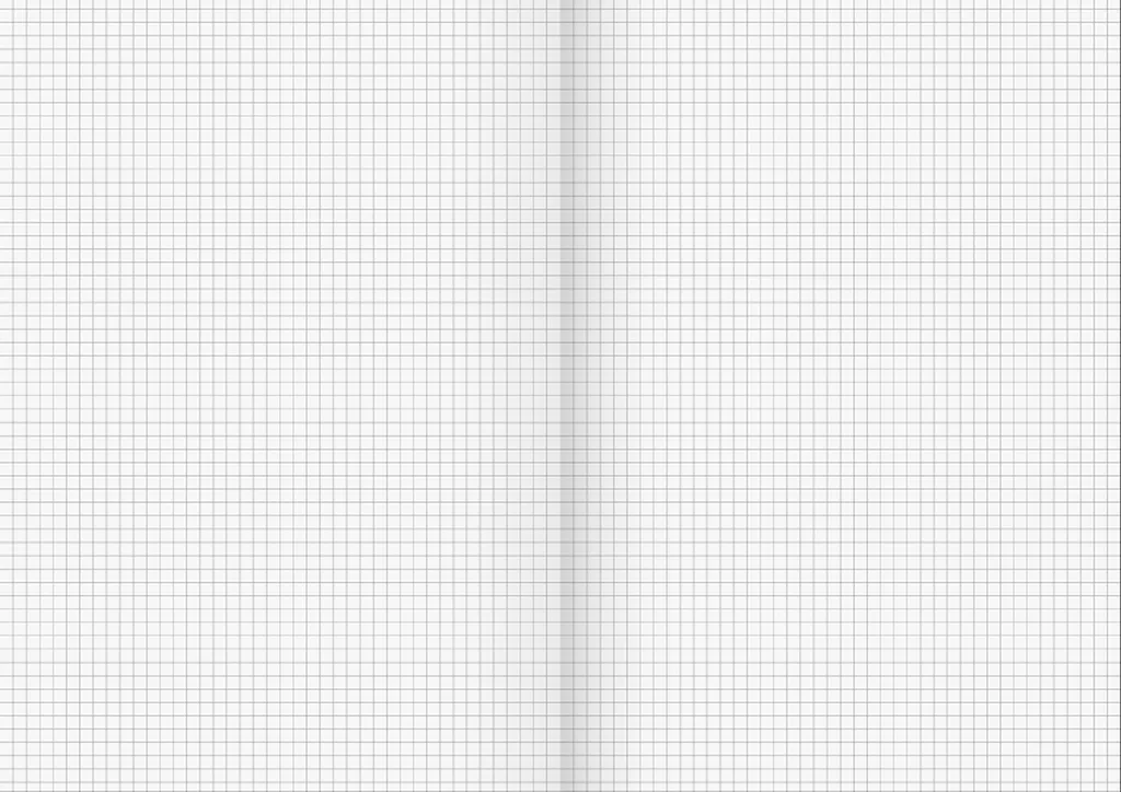 Cahier A4 pour Prise de Notes Professionnelle - Pack 5 Registres Rouges - 2