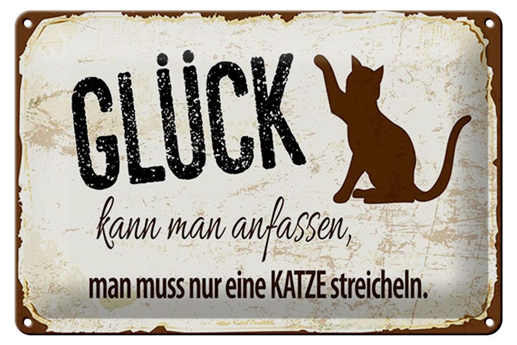 Blechschild Spruch 12x18 cm Glück man muss nur eine Katze Streicheln Schild