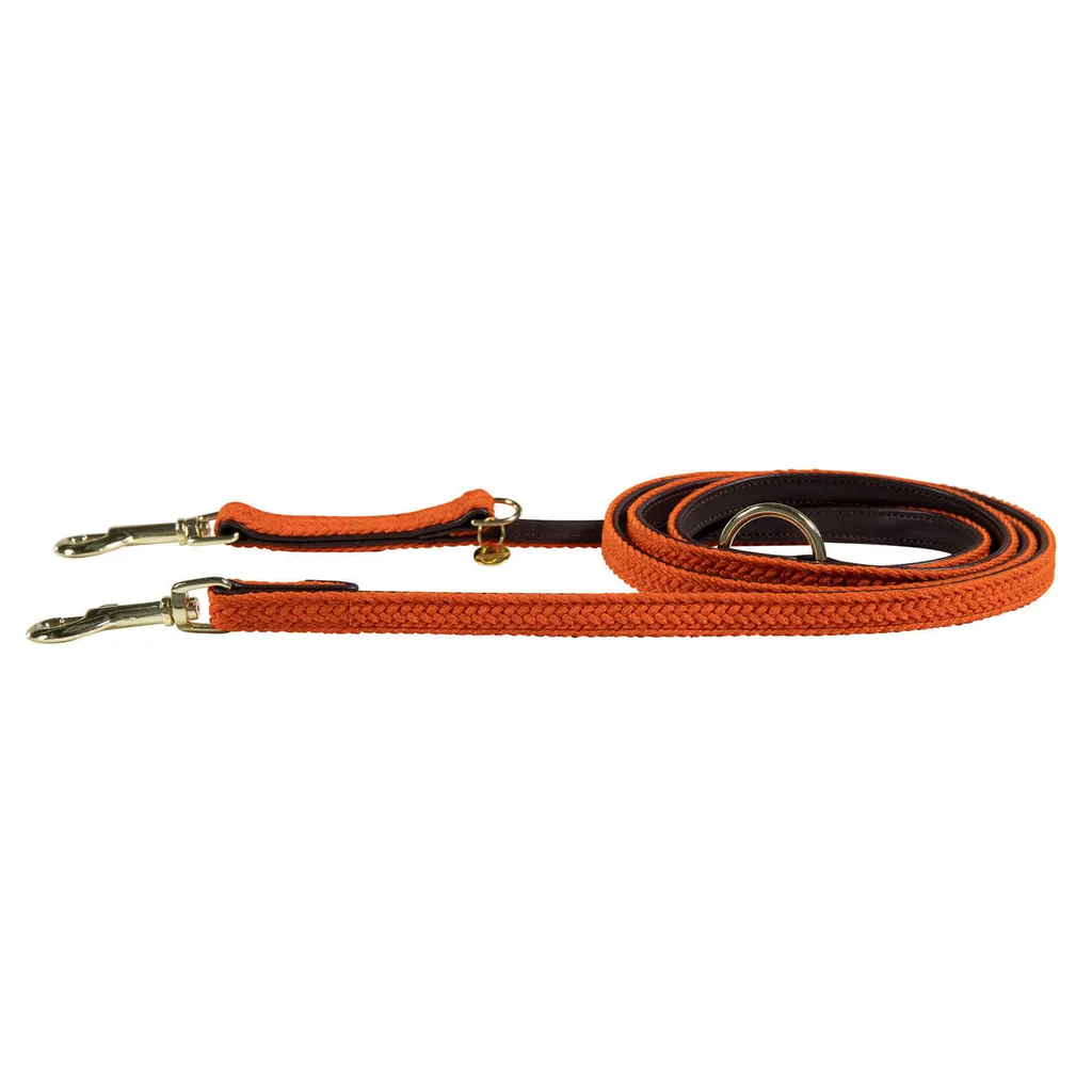 Laisse pour Chien en Nylon Tressé Kentucky Dogwear de 2m pour Promenades