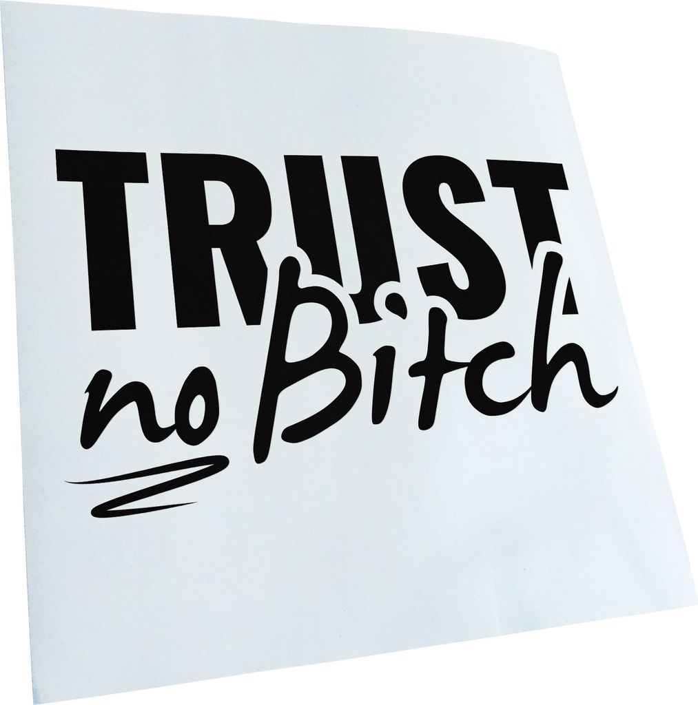 hauptsachebeklebt Kiwistar - Autoaufkleber - Trust no Bitch - Vertrau keiner Tussi Heckscheibe - Aufkleber für Auto Kfz Fahrrad, LKW, Truck Mofa