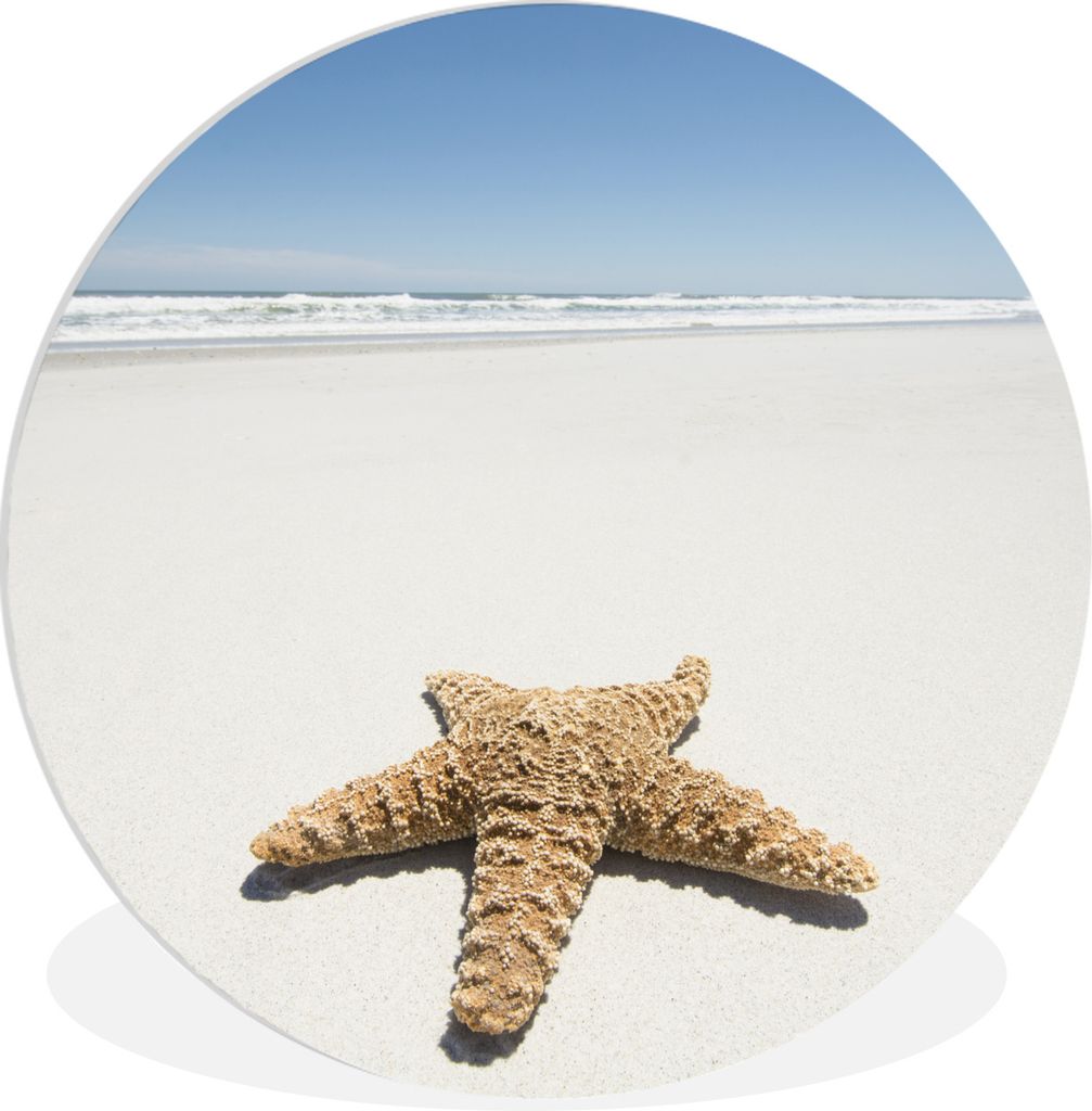 MuchoWow Rundes Wandbild - Runde Bilder Seestern - Strand - Himmel Ø 90 cm Kreis Wanddekoration Kunststoff - Wandkreis - Wandschmuck - Wand-Krei...